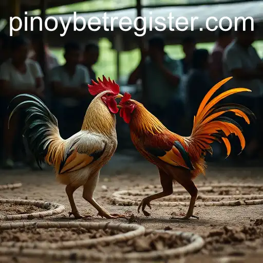 Cockfighting: Tradition, Controversy, and the Modern World